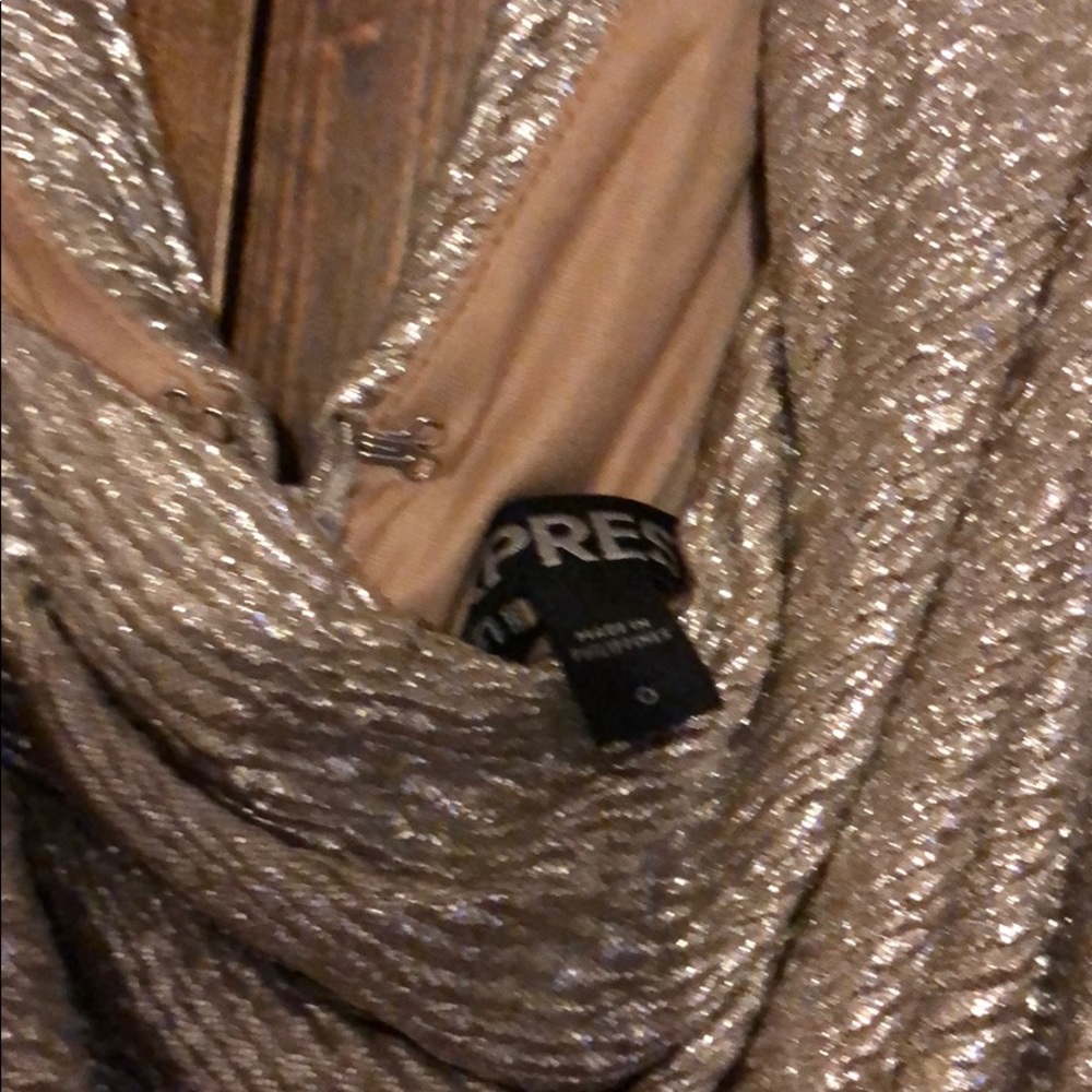 Express Dress - Picture 3 of 4